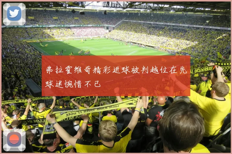 弗拉霍维奇精彩进球被判越位在先球迷惋惜不已