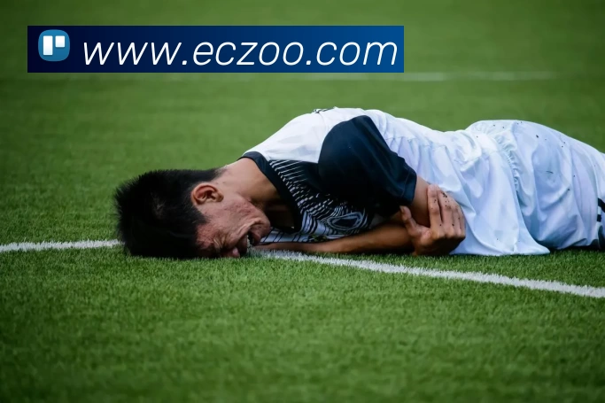 mksports体育APP 高清赛事图